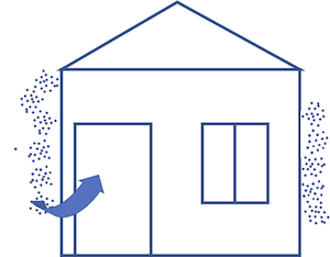 Mold spores also enter homes through doors and windows and are carried indoors on our 
          clothing.