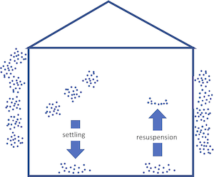 Indoor samplers collect spores settling from the air in our home for 24 hrs a day over 
          10 days.